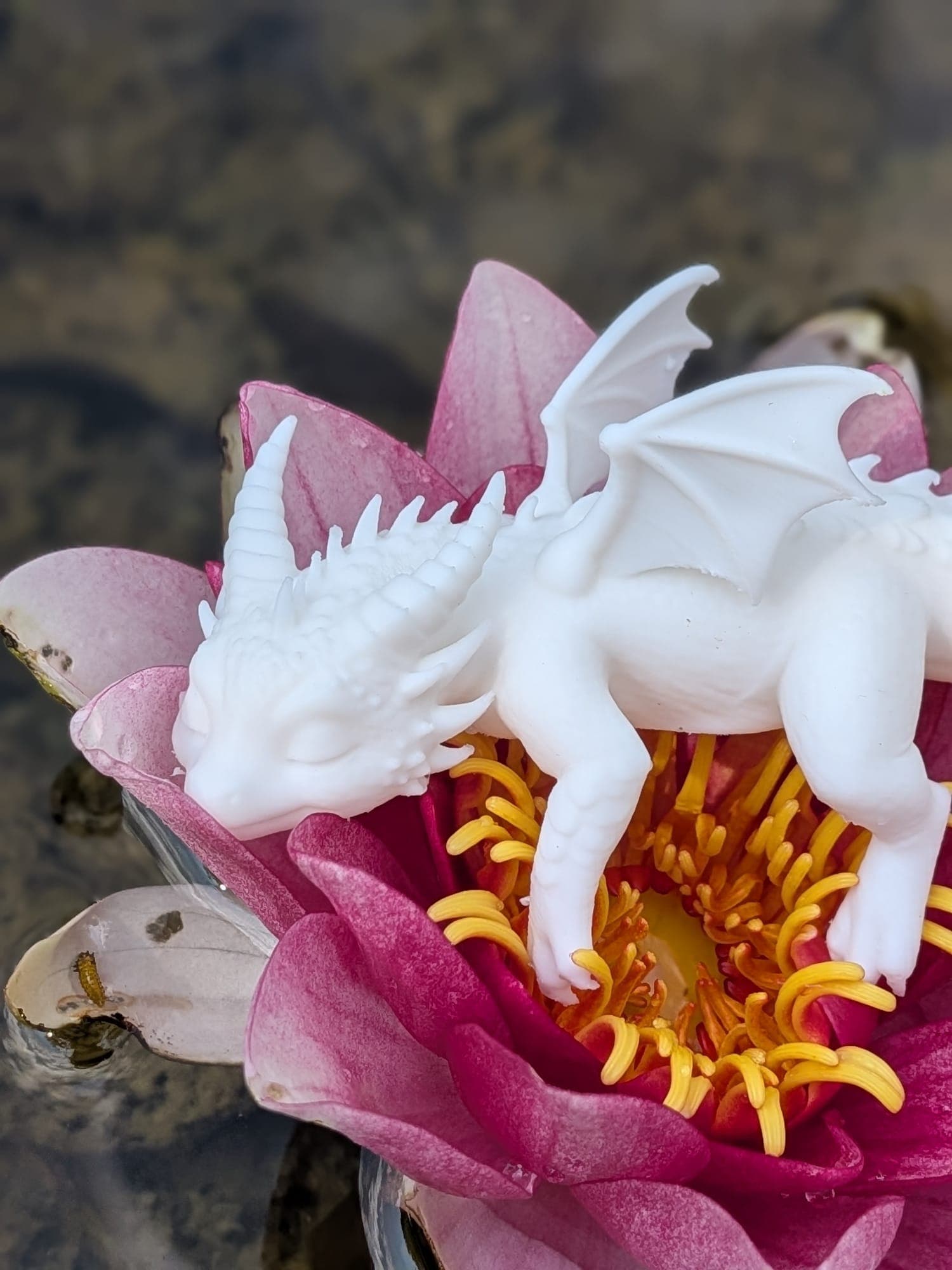 The Florenz dragon figure, from another angle